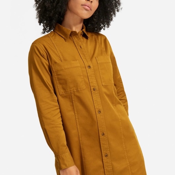 Everlane Belted Utility Shirtdress sz6 - Picture 2 of 6